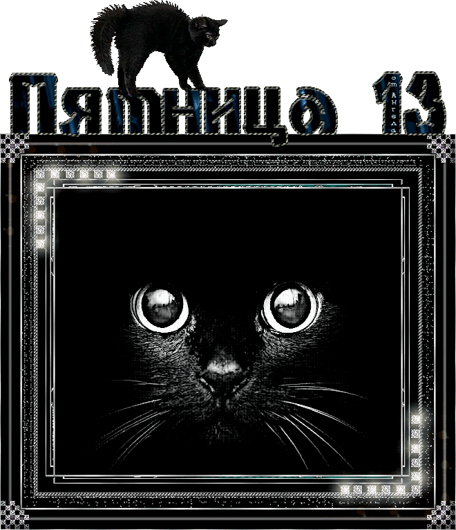 Пятница 13 с чёрным котом