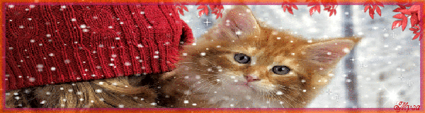 Рыжий котенок под снегом