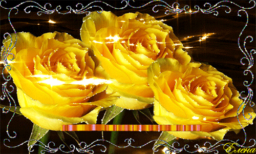 Желтые розы в океане любви. Цветы картинки