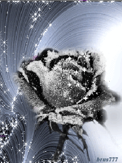 Замерзшая розочка Цветы на телефон