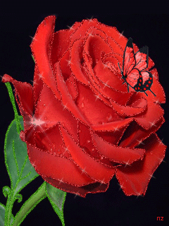 Красная роза анимация Цветы на телефон