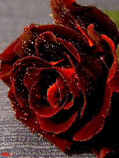 Сверкающая роза Цветы на телефон