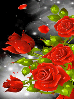 Картинка на телефон Розы. Цветы на телефон