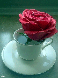 Чайная роза. Цветы на телефон