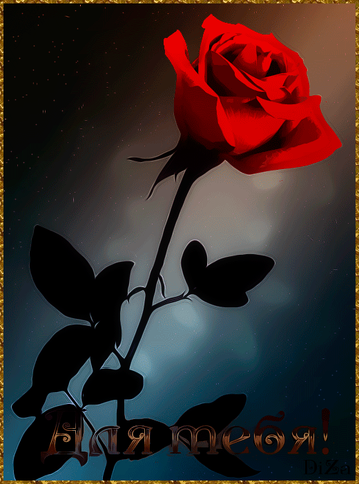 Роза для тебя!