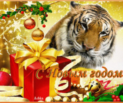 Новая новогодняя картинка 2022 с тигром - Новогодние открытки 2022