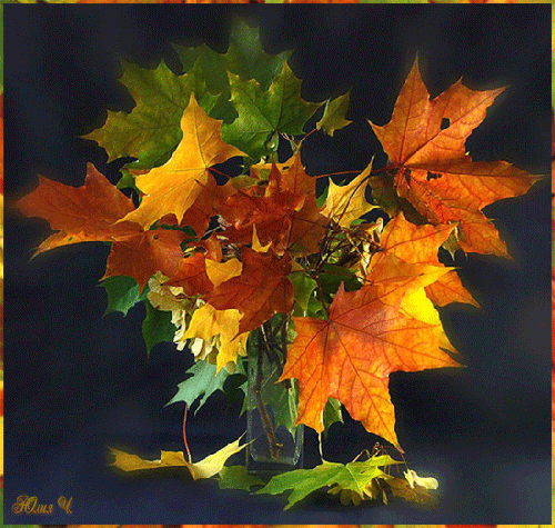 Букет кленовых листьев Осень в картинках