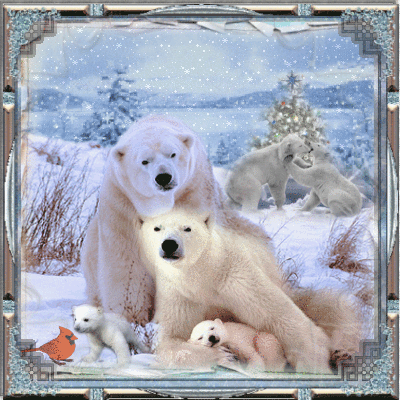 Белые медведи Животные в картинках