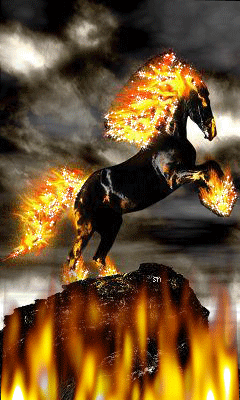 Огненный конь Животные в картинках