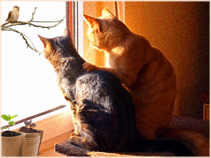 Кошки у окна анимация