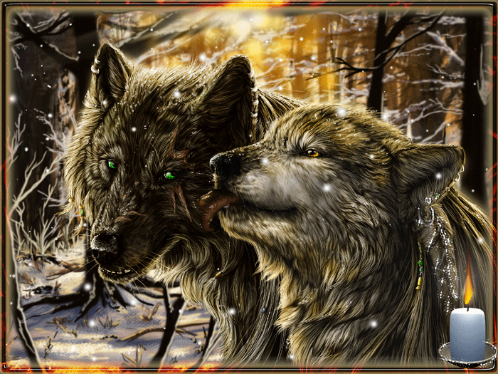 Волк и волчица Животные в картинках