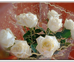 Белые розы букет