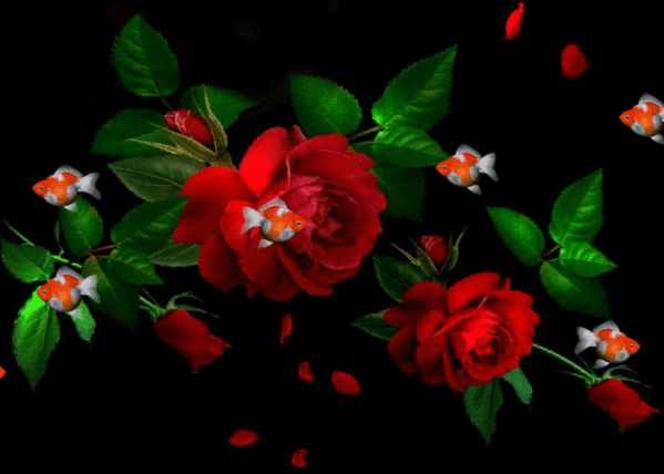 Анимация с розами. Цветы картинки