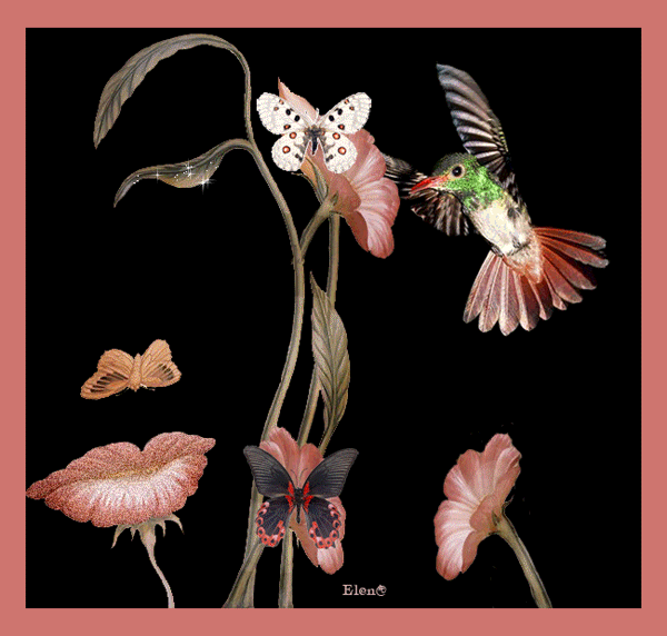 Птичка, бабочки, цветы Цветы картинки