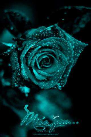 Изумрудная роза. Цветы картинки