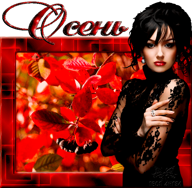 Девушка Осень в кустах черной рябины